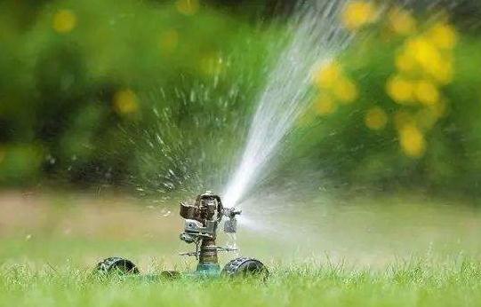 綠化苗木的灌溉與排水，應(yīng)該注意這8個(gè)方面！