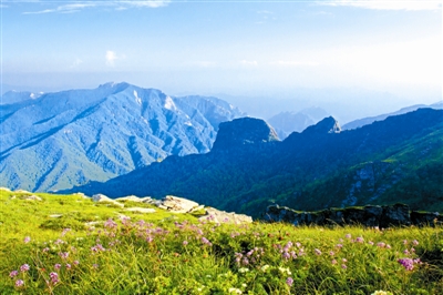  秦嶺國家公園設立后，會有啥不一樣？