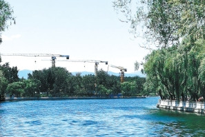 湖北凱蒂園林分享十種超耐寒的開花植物，不怕凍傷！ 