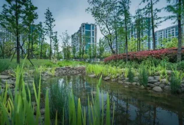 住房和城鄉(xiāng)建設(shè)部進一步明確海綿城市建設(shè)要求