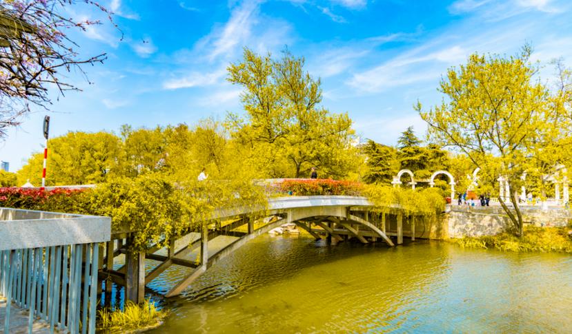 秋季關于園林綠化養(yǎng)護專業(yè)知識 ，你知道多少？