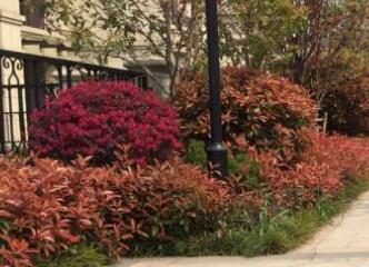 在園林設計布局中，色彩因素要注意什么？